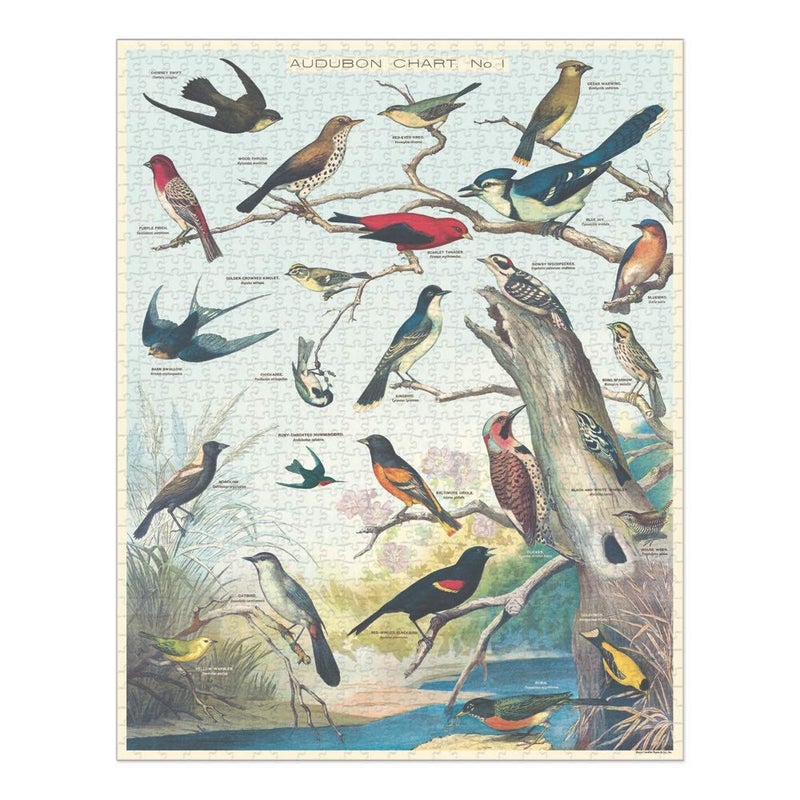 CAVANILLI & CO. Cavallini 1000 Piece Puzzle, Audubon Birds (PZL/BRD) - Image 2